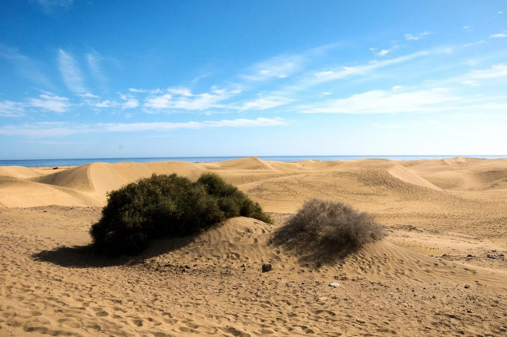 Prosurfing Apartamento Playa del Ingles  0*, Playa del Ingles (Gran Canaria)